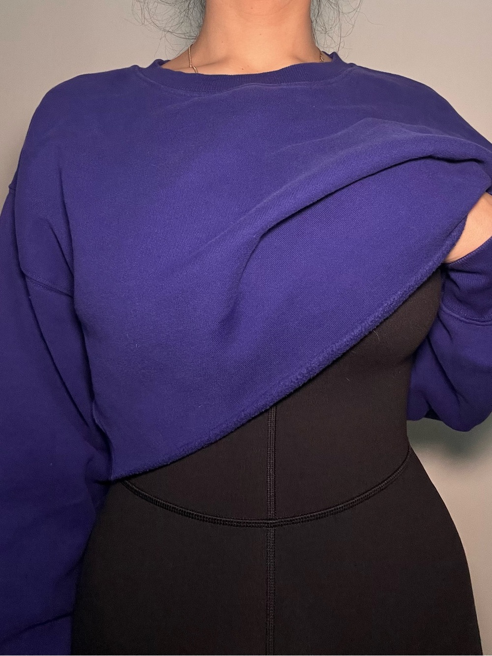 TNA Purple/Blue Cropped Crewneck Sweatshirt
